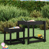 vidaXL Sand-Spieltische 2 Stk. Schwarz Massivholz Kiefer
