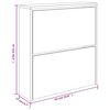 vidaXL Schuhschrank mit Spiegel 2 F&auml;cher Schwarz 63x17x67 cm