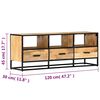 vidaXL TV-Schrank 120x30x45 cm Massivholz Mango
