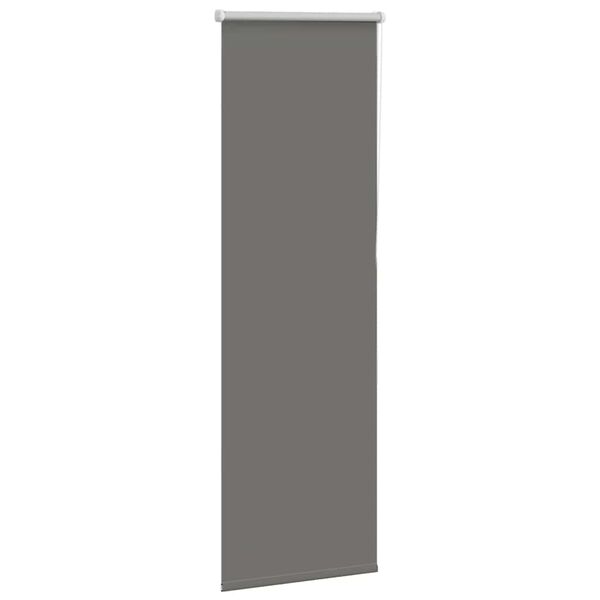 vidaXL Verdunkelungsrollo Grau 50x150 cm Stoffbreite 45,7 cm Polyester