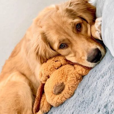 Snuggle Puppy Hundespielzeug mit Herzschlag Braun