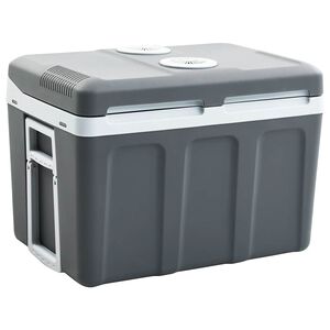 vidaXL Thermoelektrische K&uuml;hlbox Mobil 40 L 12V 230V E