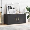 vidaXL Aufbewahrungsschrank Schwarz 90 x 40 x 40 cm Stahl