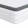 vidaXL Matratze 2 stk. Mittelweich 80 x 200 cm Wei&szlig; und Grau