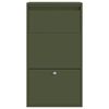 vidaXL Paketdrop-Box mit Speicher Olive Gr&uuml;n 44 x 22 x 82 cm Stahl