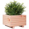 vidaXL Pflanzk&uuml;bel 40x40x26,5 cm Massivholz Douglasie