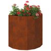 vidaXL Pflanzk&uuml;bel Rostig 60 x 30 x 50 cm Wetterfeststahl