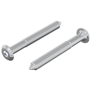 vidaXL Schraube 2 stk. Silber M6 x 50 mm Stahl