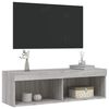 vidaXL TV-Schrank mit LED-Leuchten Grau Sonoma 100x30x30 cm