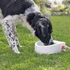 TRIXIE Automatischer Haustier-Wasserspender Kunststoff