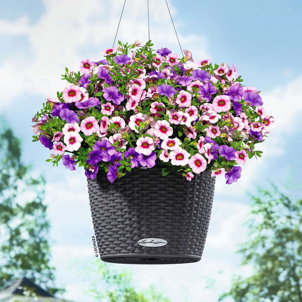 LECHUZA Blumenampel NIDO Cottage 28 ALL-IN-ONE Granitgrau