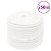 vidaXL Bootsseil Wei&szlig; 14 mm 250 m Polypropylen