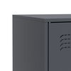 vidaXL Sideboard Anthrazit 67x39x73 cm Stahl