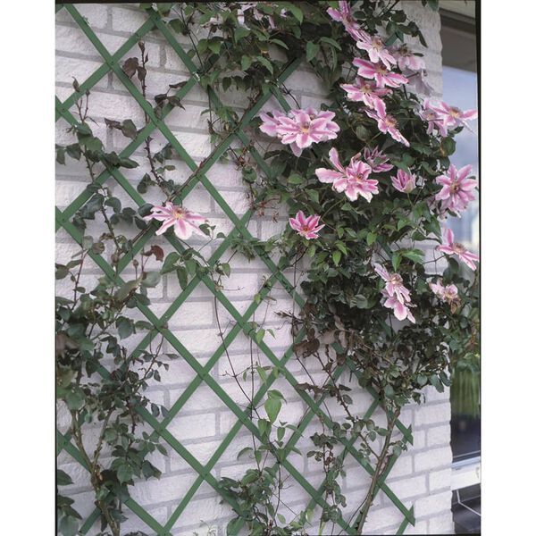 Nature Garten-Rankgitter 2 Stk. 100&times;200 cm PVC Gr&uuml;n
