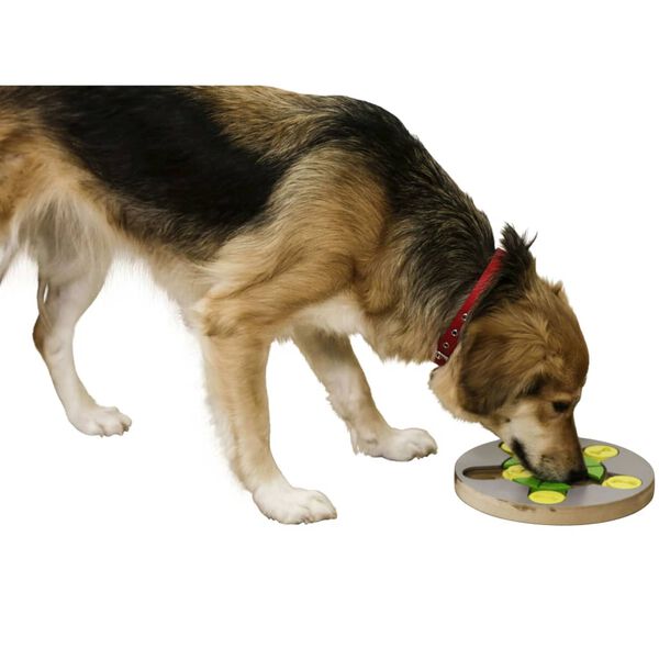 Kerbl Denk- und Lernspielzeug f&uuml;r Hunde Switch 25&times;2,5 cm