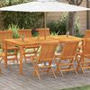 vidaXL Gartentisch 200x100x74 cm Massivholz Akazie