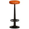 vidaXL Barhocker 2 Stk. Echtleder