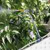vidaXL Garten-Pflanzgef&auml;&szlig; 3 pcs Wei&szlig; Stahl
