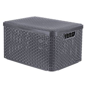 Curver Aufbewahrungsbox mit Deckel Style L 30L Metallic Silbern