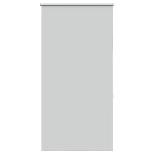 vidaXL Verdunkelungsrollo Hellgrau 65x175 cm Stoffbreite 60,7 cm