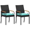 Black_and_turquoise