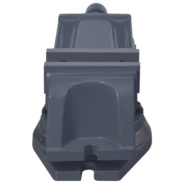 vidaXL Drehtisch-Schraubstock Gusseisen 100 mm