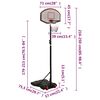 vidaXL Basketballständer Schwarz 216-250 cm Polyethylen