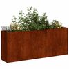 vidaXL Pflanzk&uuml;bel Rostig 200x40x80 cm Wetterfester Stahl