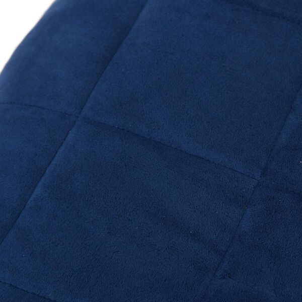 vidaXL Gewichtsdecke Blau 200x200 cm 13 kg Stoff