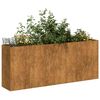 vidaXL Pflanzk&uuml;bel Rostig 200x40x80 cm Wetterfester Stahl