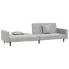 vidaXL Schlafsofa 2-Sitzer mit 2 Kissen Hellgrau Samt