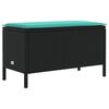 Black_and_turquoise