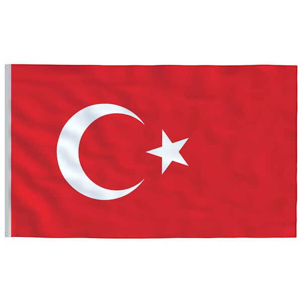 vidaXL Flagge der T&uuml;rkei mit Mast 5,5 m Aluminium