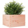 vidaXL Pflanzk&uuml;bel 70x70x46 cm Massivholz Douglasie