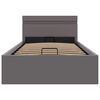 vidaXL Bett mit Bettkasten Hydraulisch LED Grau Kunstleder 100x200 cm