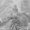 Komar Fototapete Amazonia Schwarz und Wei&szlig; 400x250 cm