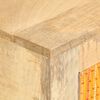 vidaXL TV-Schrank 120&times;30&times;40 cm Massivholz Mango