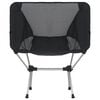 vidaXL Klappbare Campingstühle 2 Stk. mit Tragetasche 54x50x65 cm Alu