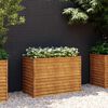 vidaXL Garten-Hochbeet 100 x 50 x 69 cm Cortenstahl