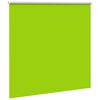 vidaXL Verdunkelungsrollo Gr&uuml;n 145x175cm Stoffbreite 141,6cm Polyester