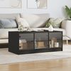 vidaXL Couchtisch mit Glast&uuml;ren Schwarz 102x50x42 cm