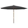 vidaXL Sonnenschirm mit Holzmast Schwarz 400x273 cm