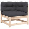 vidaXL Gartensofa mit Kissen 2-Sitzer Massivholz Kiefer
