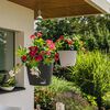 LECHUZA Blumenampel NIDO Cottage 35 ALL-IN-ONE Granitgrau