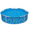 Bestway Schwimmbecken f&uuml;r Haustiere &uuml;ber dem Boden 122 x 30,5 cm Rund