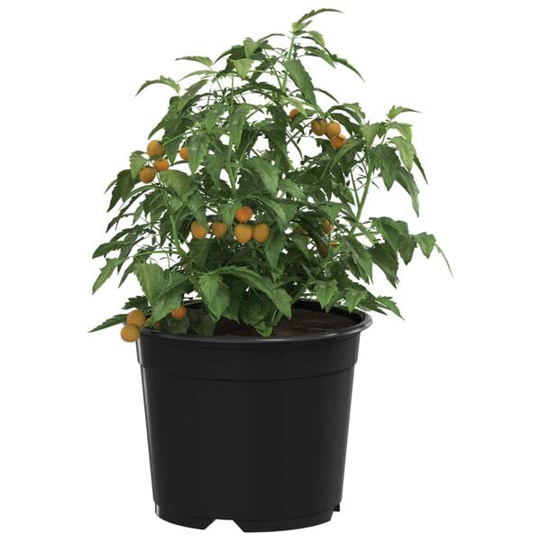 Produktbild 3 von 11 anzeigen