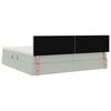 vidaXL Bett mit Stauraum und LED mit LED Hellgrau 200 x 200 cm Samt