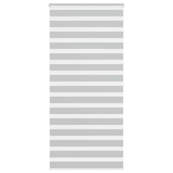vidaXL Doppelrollo Hellgrau 110x200 cm Stoffbreite 105,9 cm Polyester