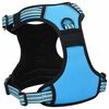 vidaXL Hundegeschirr Reflektierend Verstellbar Blau XL