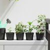 vidaXL Blumentopf 50 pcs Schwarz &Oslash; 15 x 12,5 cm Kunststoff